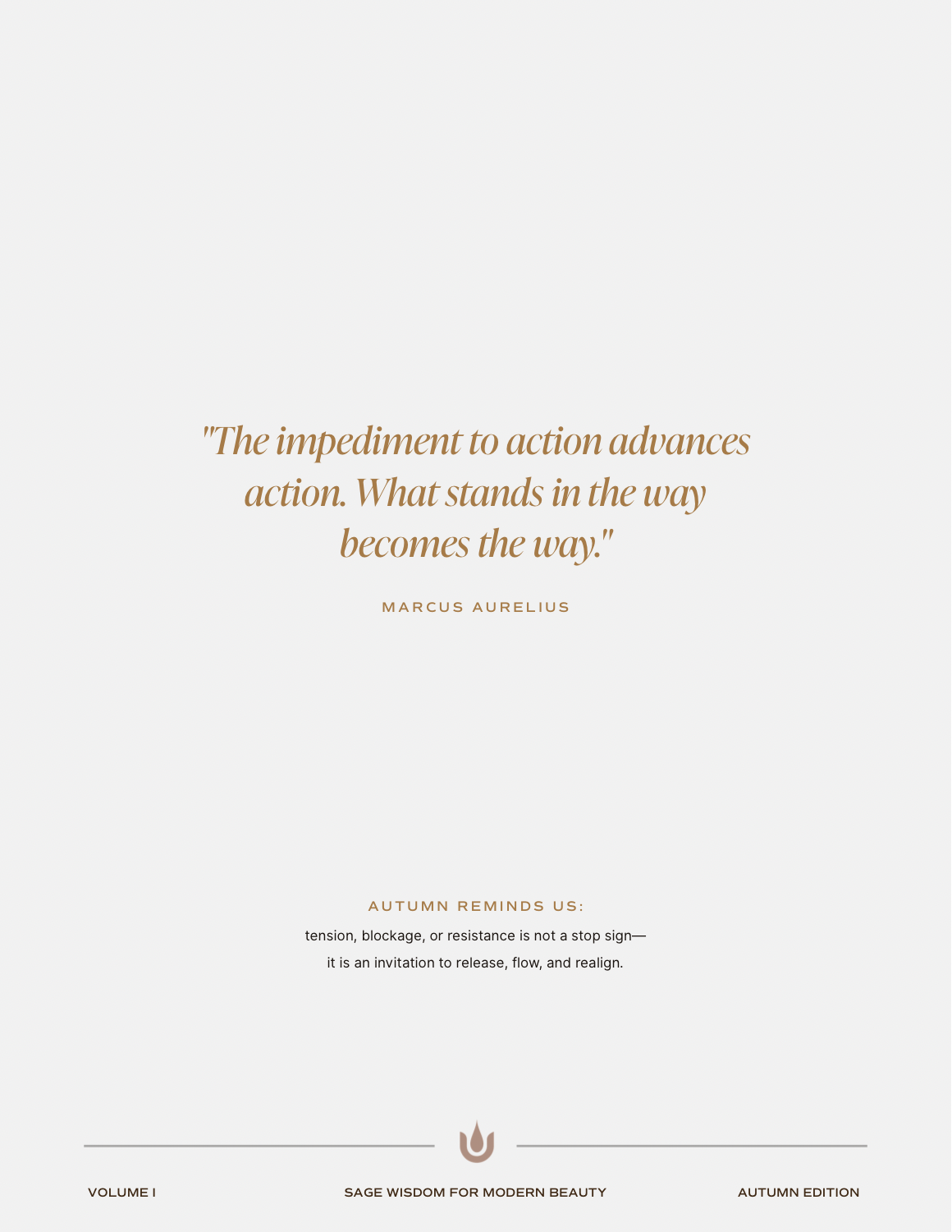 Beauty Is An Inside Job®  (Softcover)