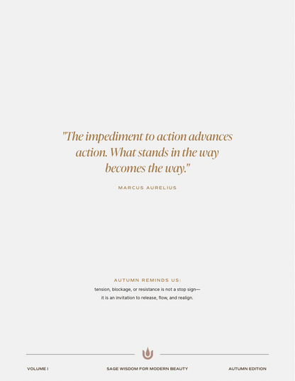 Beauty Is An Inside Job®  (Softcover)