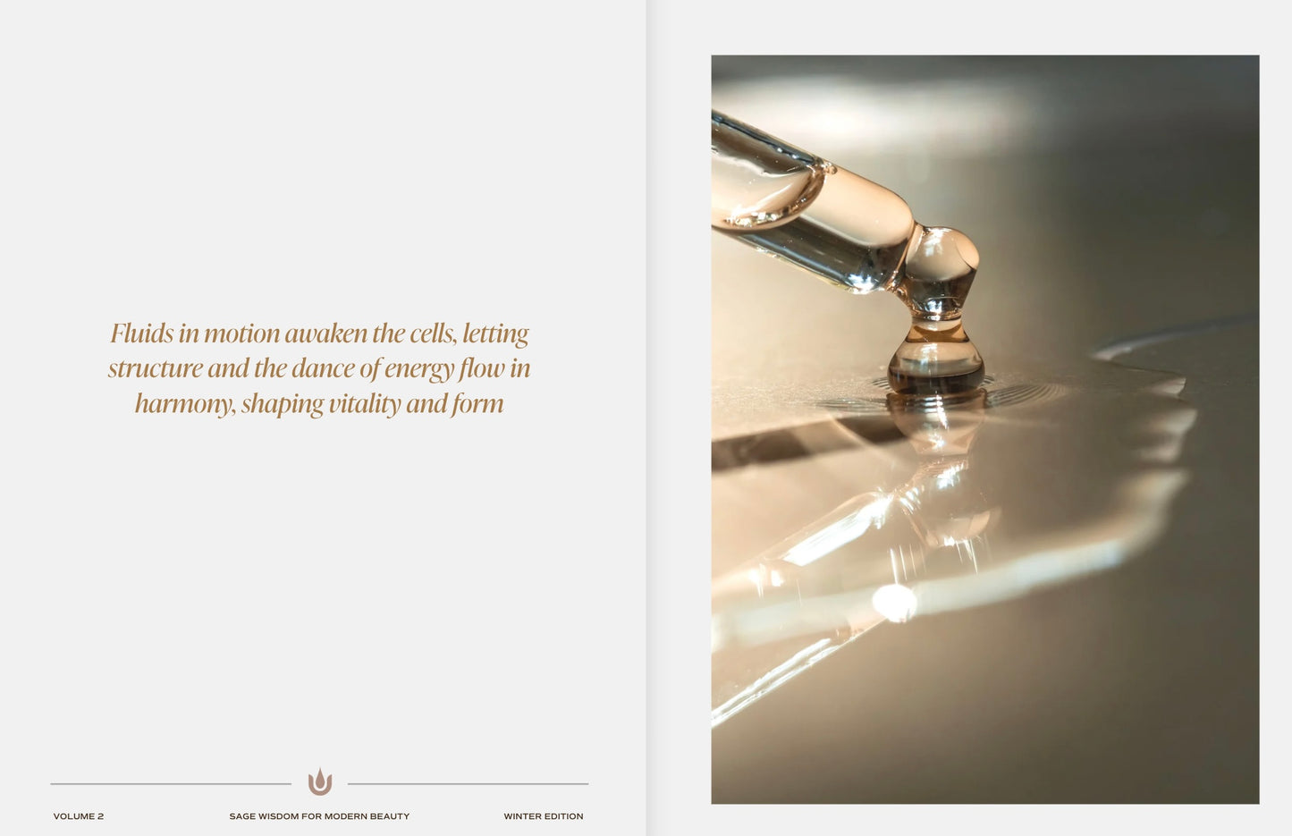 Beauty Is An Inside Job®  (Softcover)